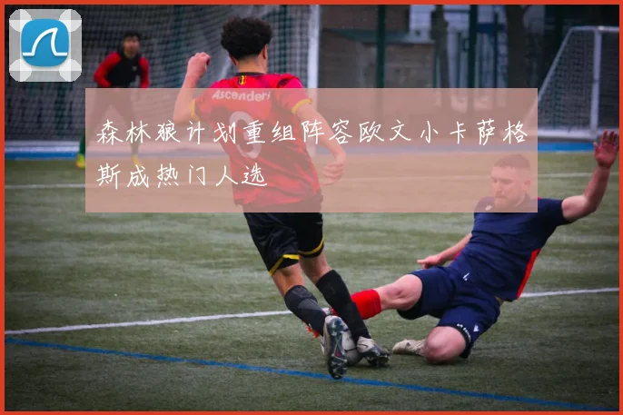 森林狼计划重组阵容欧文小卡萨格斯成热门人选